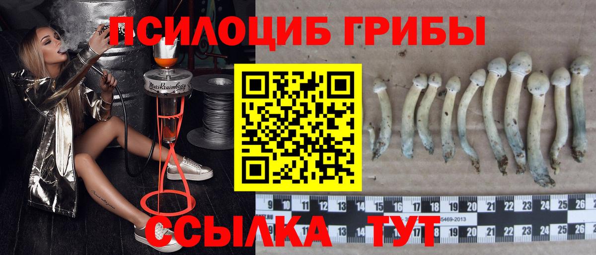 Санкт-Петербург  Галлюциногенные грибы мухоморы  Вход с VPN 